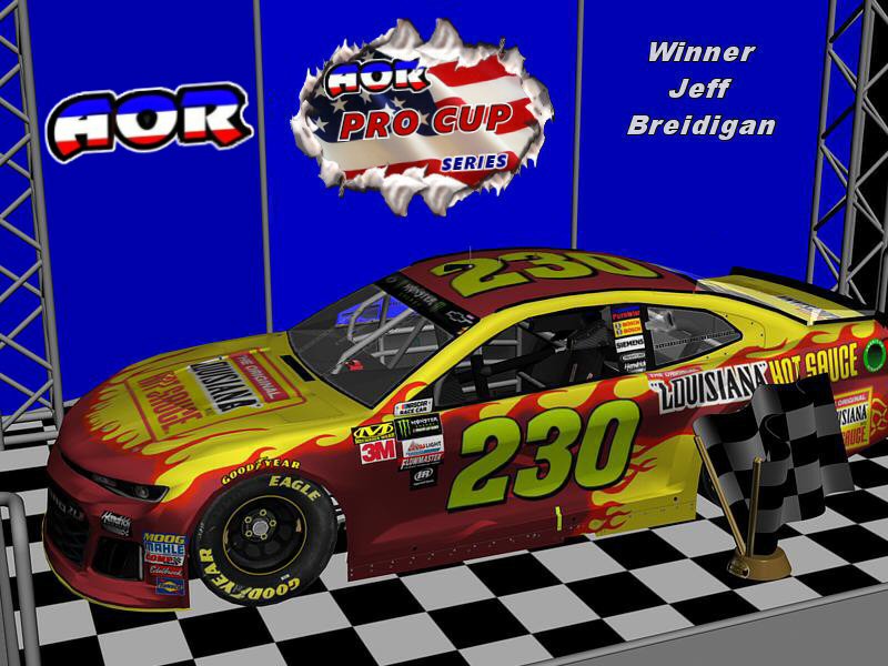 AOR_pages/images/Winners/ProCup_230.jpg